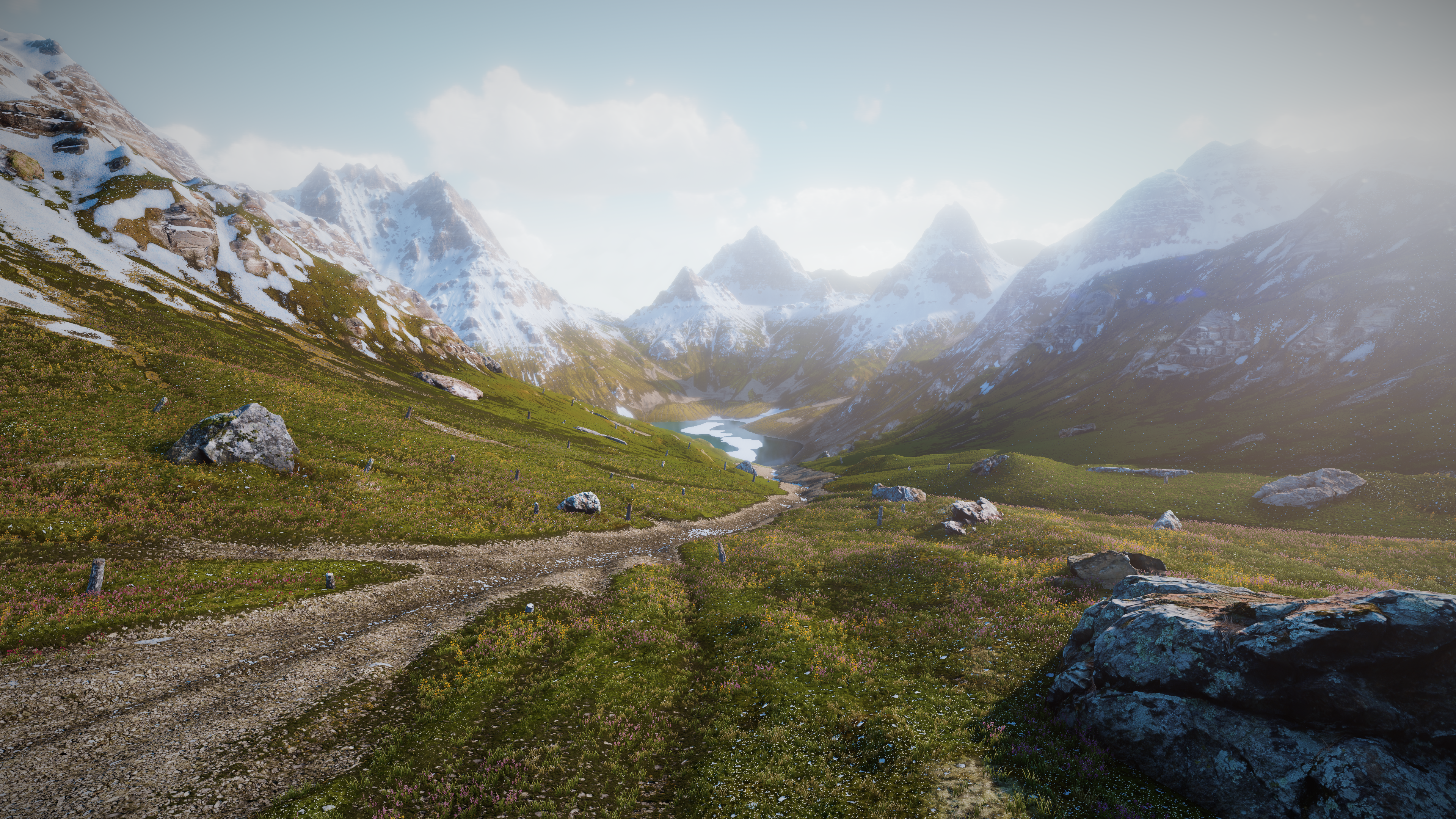 Alpine environment